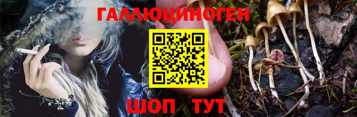 Псилоцибиновые грибы мухоморы Саратов