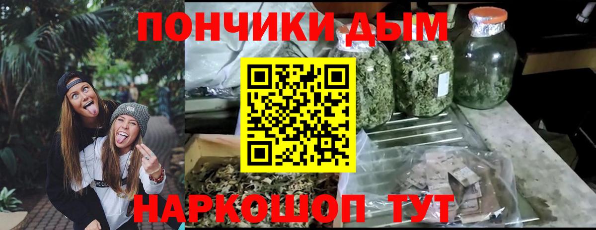 Бошки марихуана планчик  Вход с VPN  Канабис марихуана  Конопля ГИДРОПОН  Саратов  Конопля Bruce Banner 